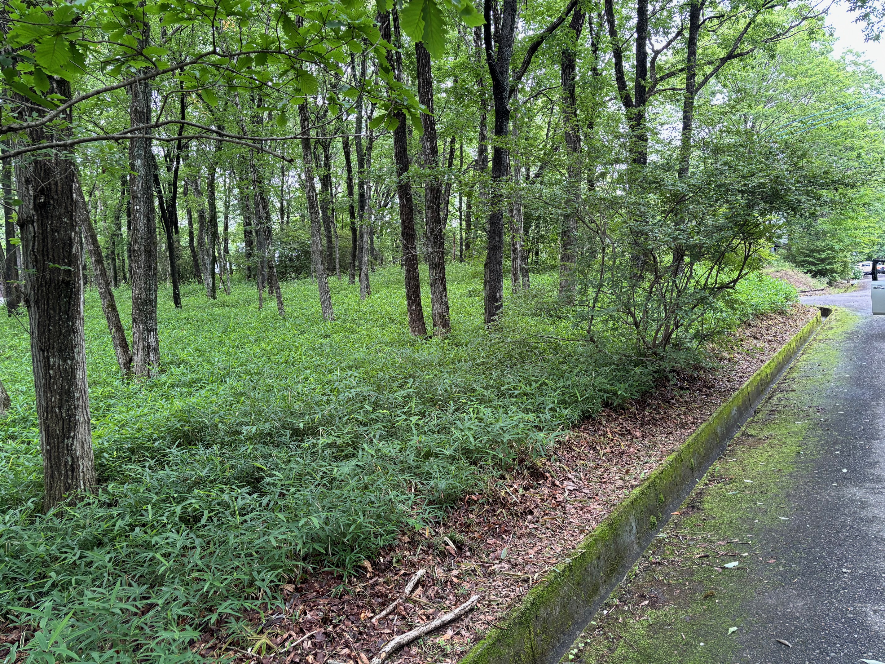 bh－002　那須町高久丙　相鉄那須別荘地内　ゆーったり440坪　公営水道使用