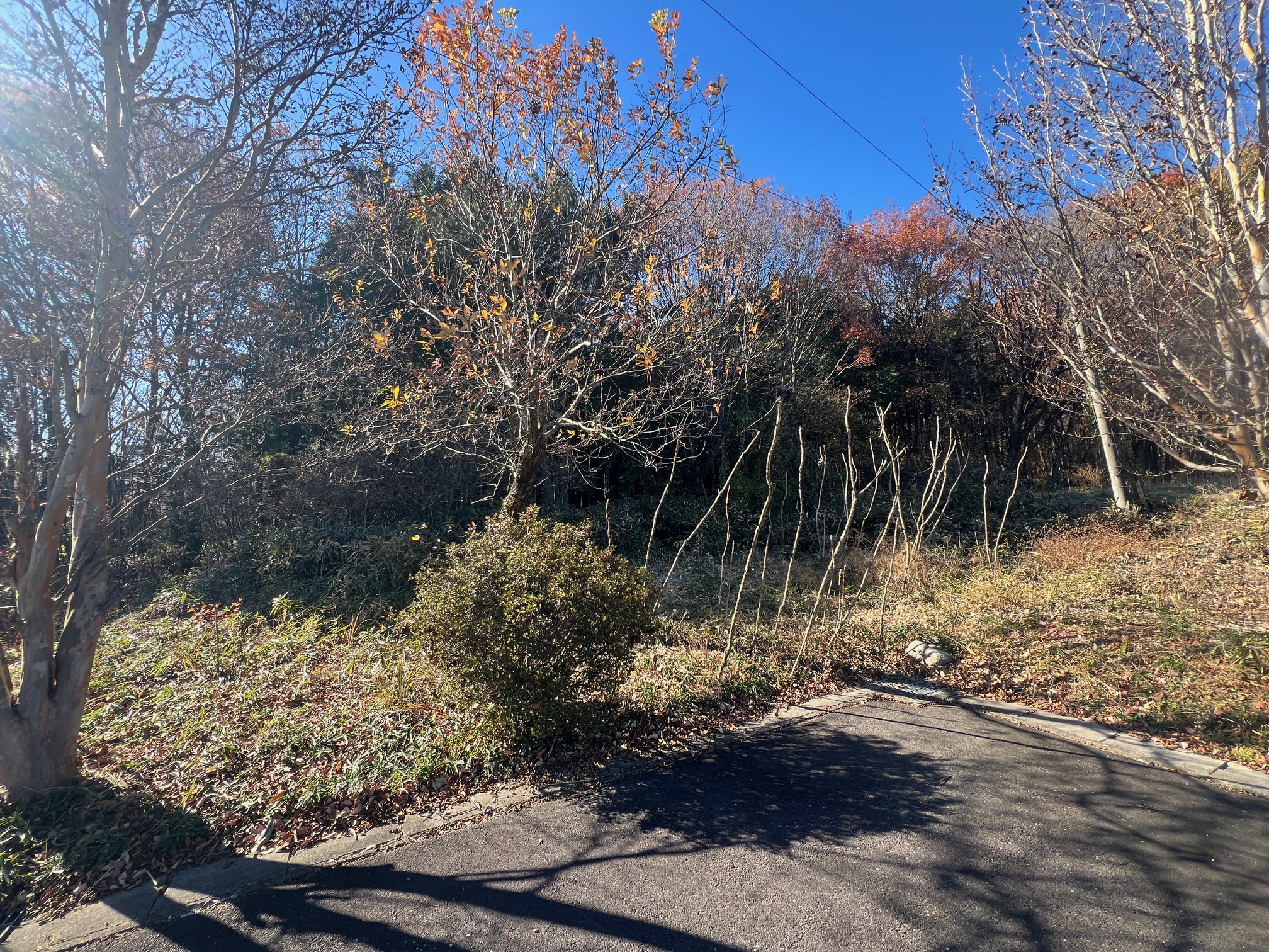 ｔ-085　那須塩原市塩野崎新田　波立小学校/東那須野中学校　